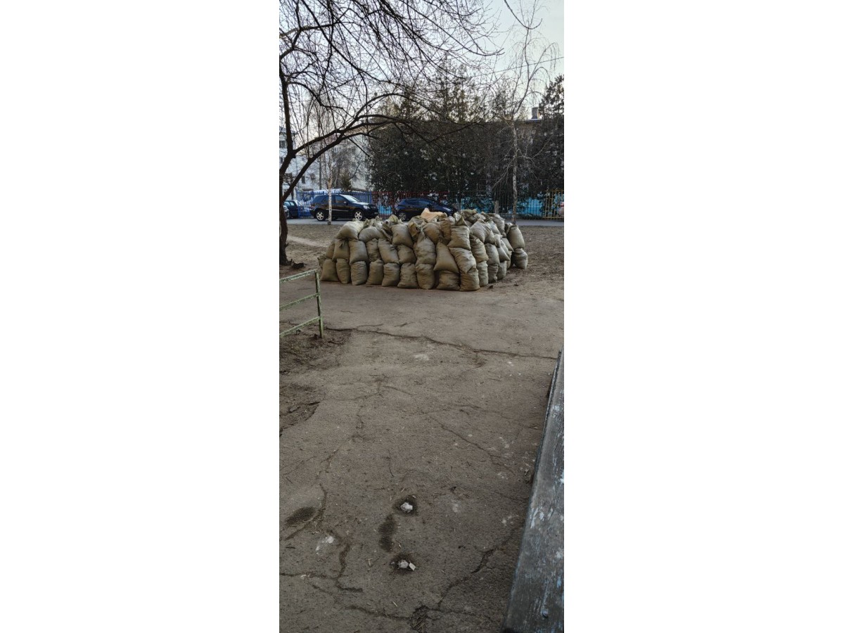 Сколько стоит вывоз мусора в Гомеле: полный обзор цен по категориям