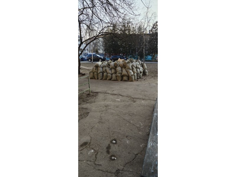 Сколько стоит вывоз мусора в Гомеле: полный обзор цен по категориям